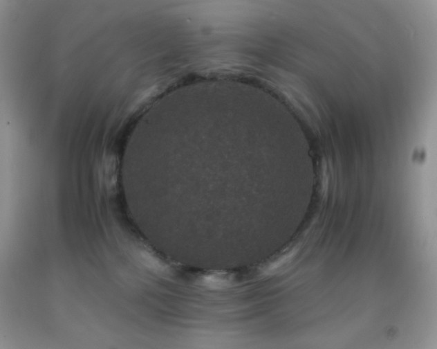 X0000092290232200709141306