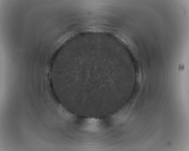 X0000092290233200709141306