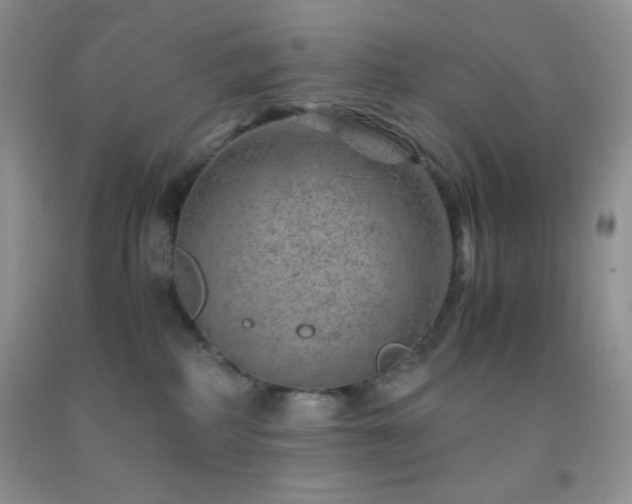 X0000092290234200709141305