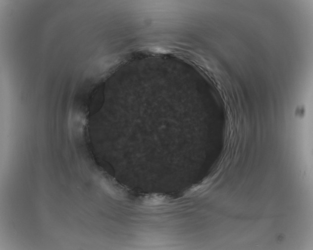 X0000092290235200709141305