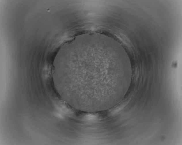 X0000092290236200709141305