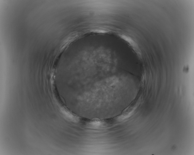 X0000092290237200709141305