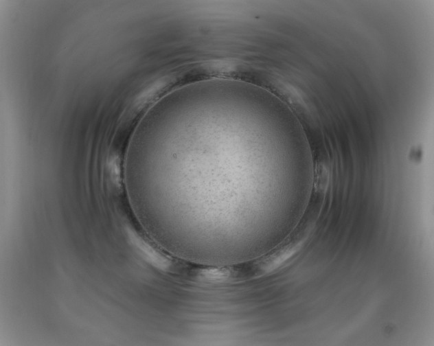 X0000092290238200709141305