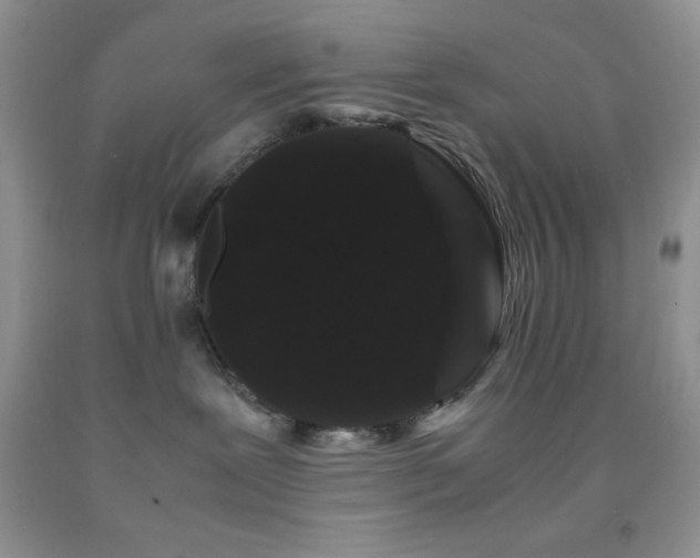 X0000092290239200709141305