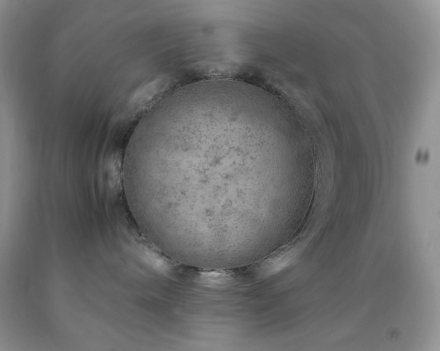 X0000092290240200709141305