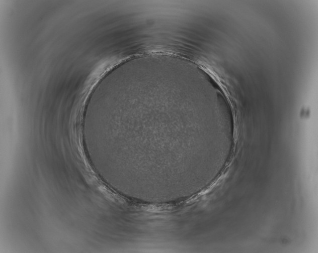 X0000092290241200709141305