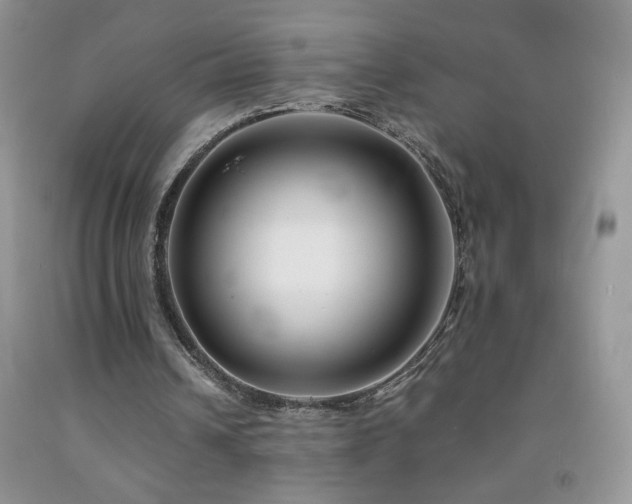 X0000092290242200709141305