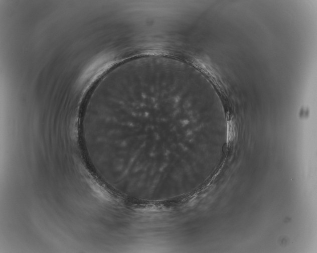 X0000092290243200709141305