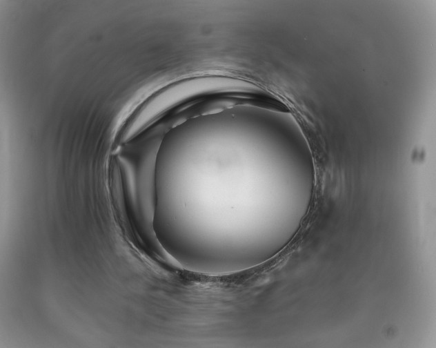 X0000092290244200709141305