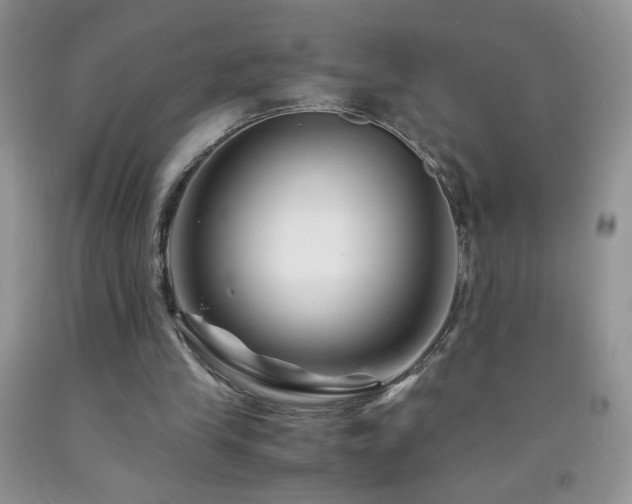 X0000092290245200709141305