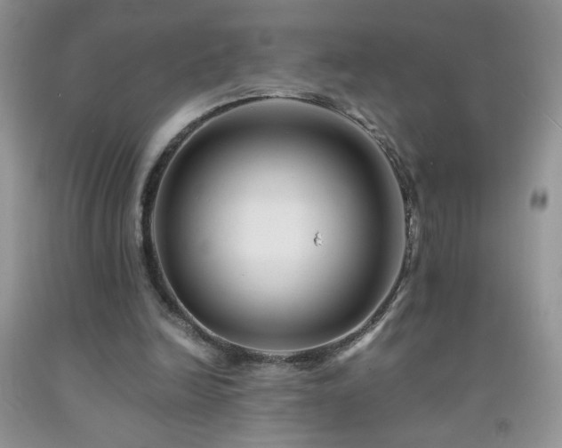 X0000092290246200709141305