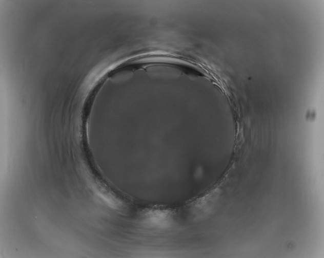 X0000092290247200709141305