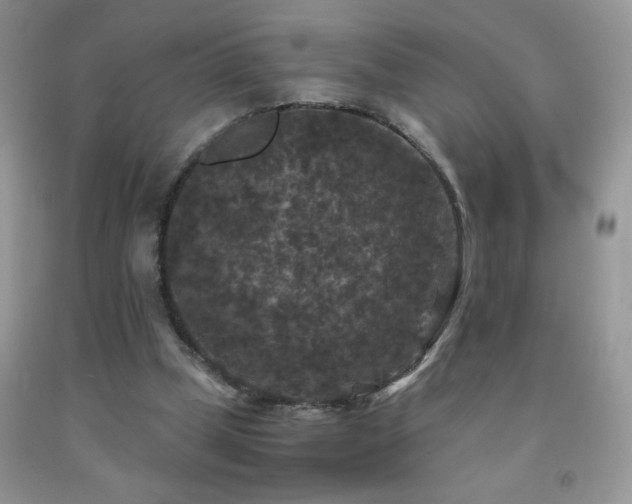 X0000092290249200709141305