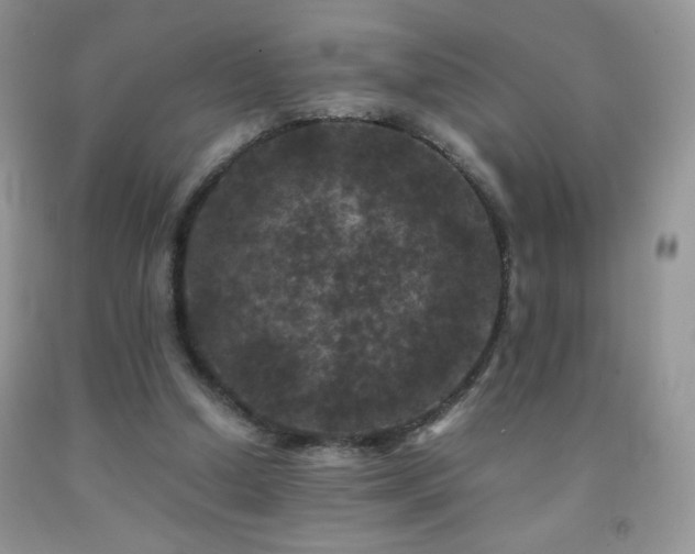 X0000092290250200709141305