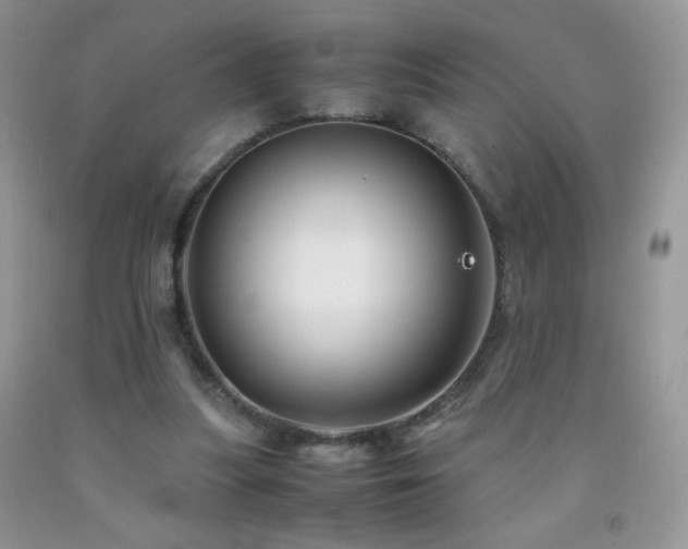 X0000092290251200709141305