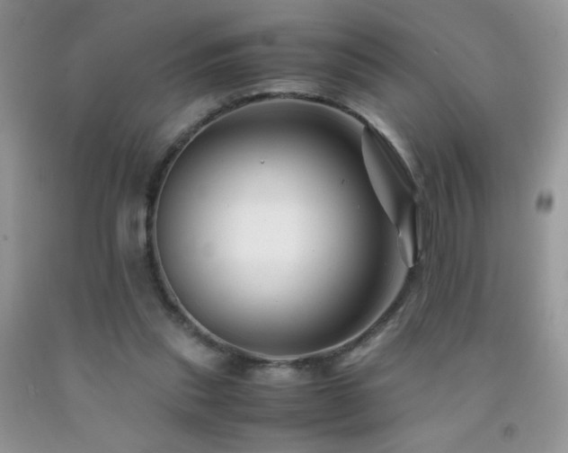 X0000092290253200709141305