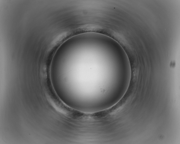 X0000092290254200709141305