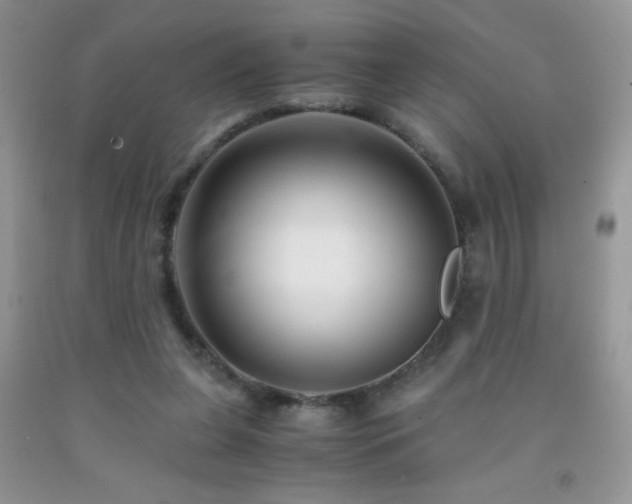 X0000092290255200709141305