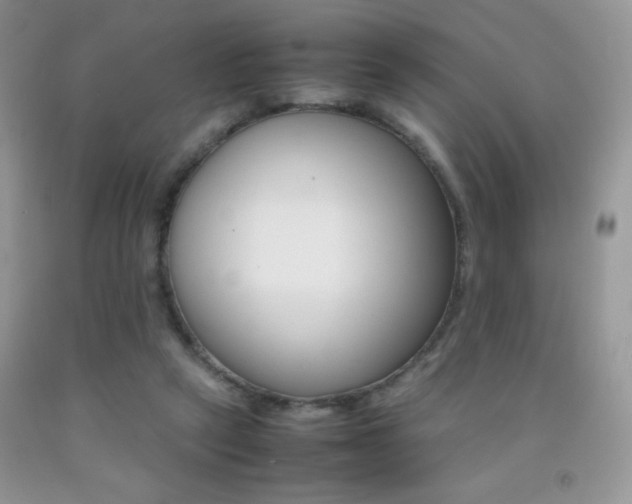 X0000092290257200709141305