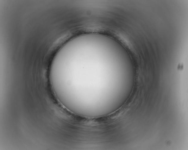 X0000092290258200709141305