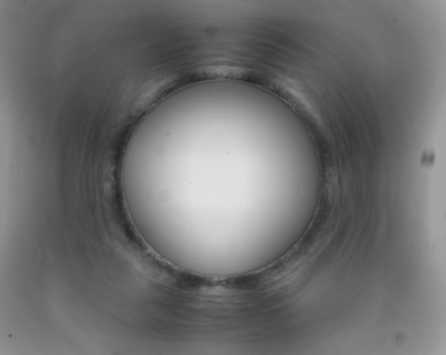 X0000092290259200709141305