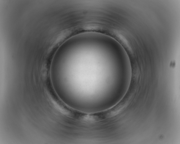 X0000092290261200709141305