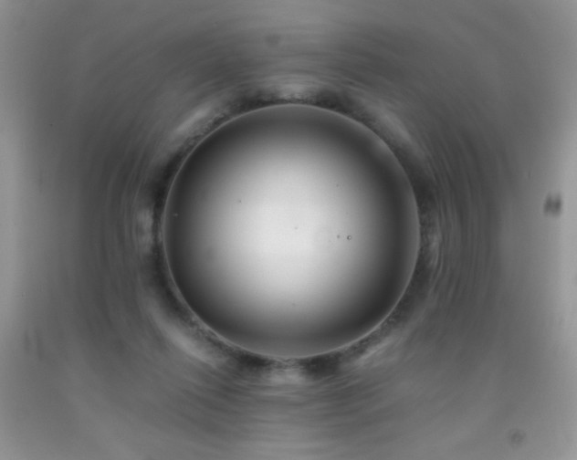 X0000092290262200709141305