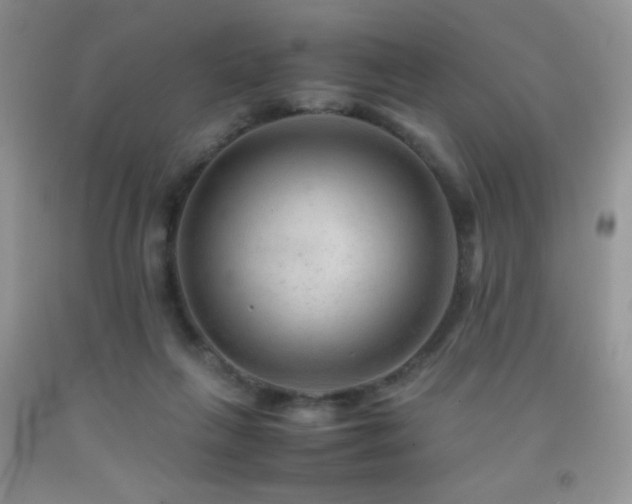 X0000092290263200709141305