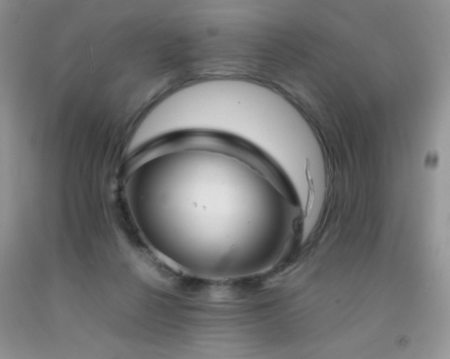 X0000092290264200709141305