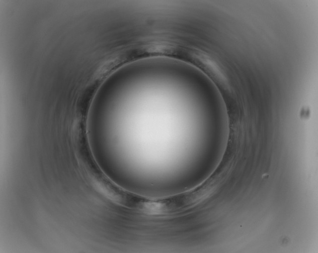 X0000092290265200709141305