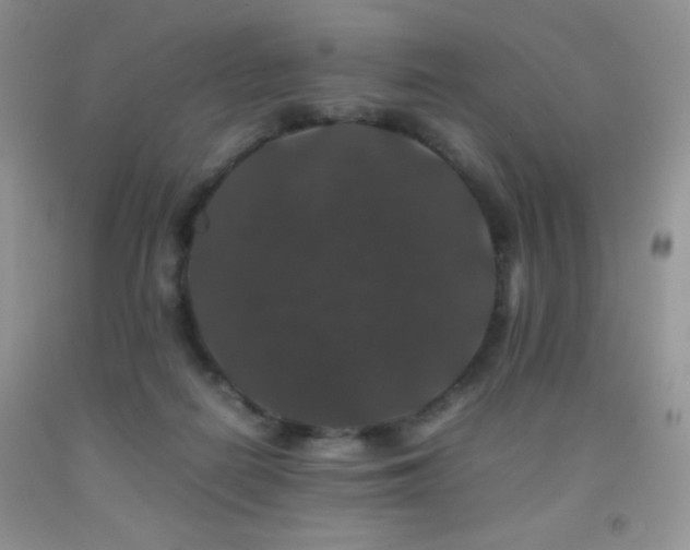 X0000092290266200709141305