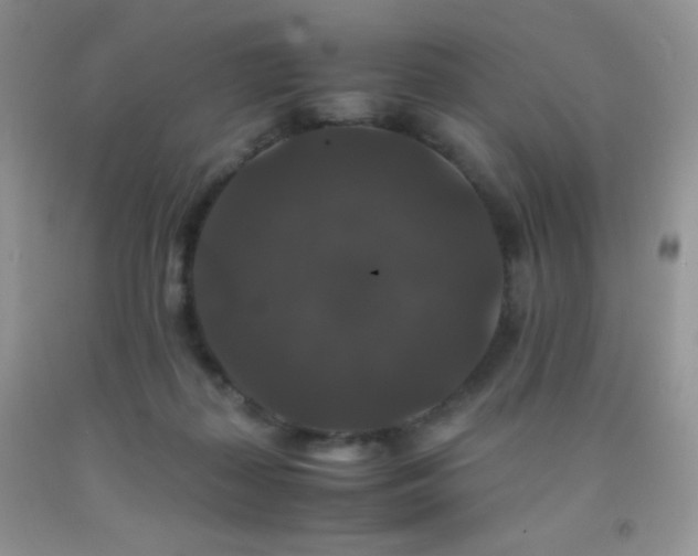 X0000092290267200709141305