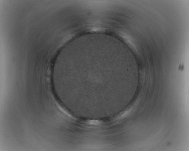 X0000092290269200709141305