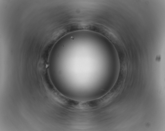 X0000092290270200709141305