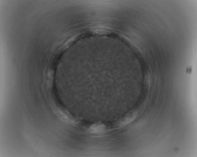 X0000092290271200709141305