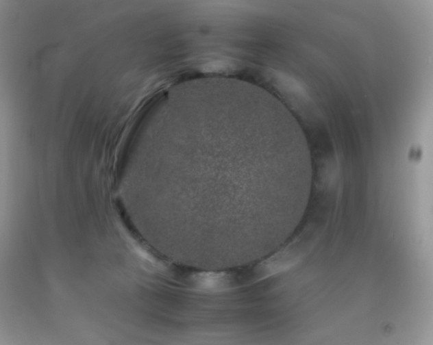 X0000092290273200709141305