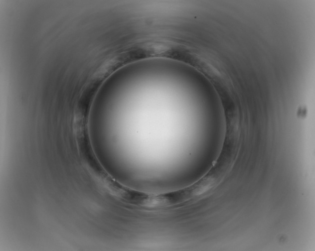 X0000092290274200709141305