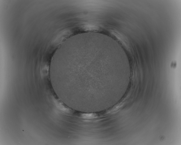 X0000092290281200709141305