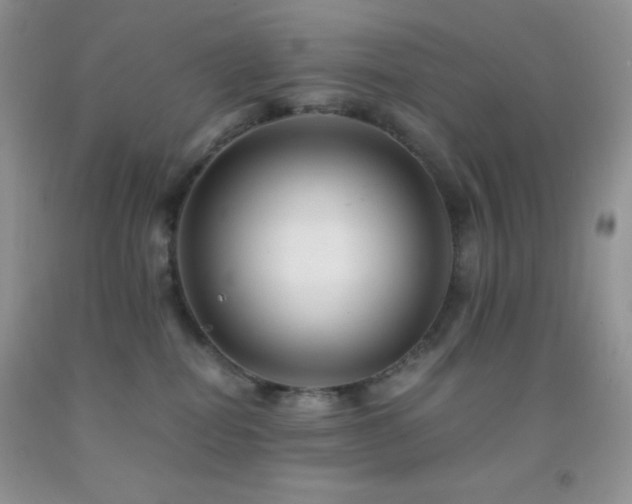 X0000092290282200709141305