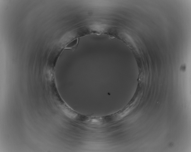 X0000092290285200709141305