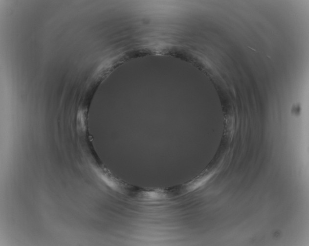 X0000092290286200709141305