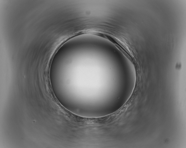 X0000092290289200709141305