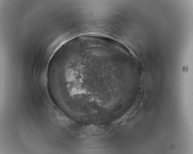 X0000092290290200709141305