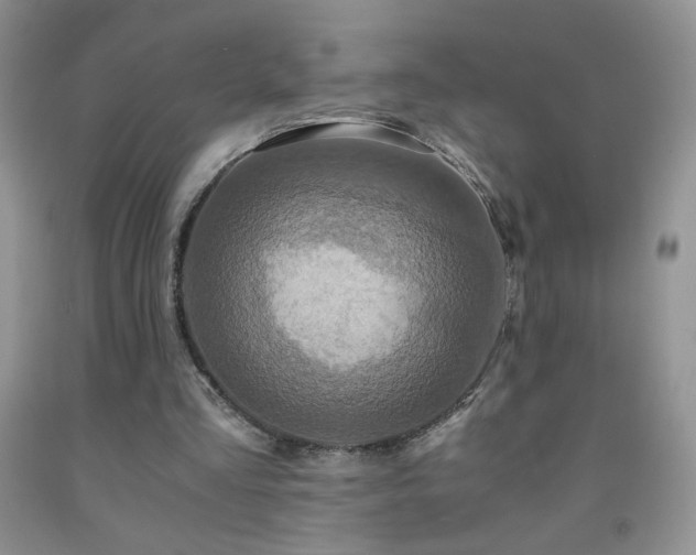 X0000092290293200709141305