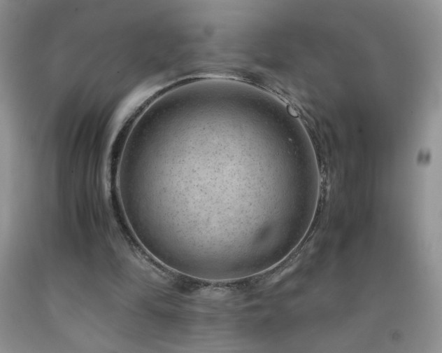 X0000092290294200709141305