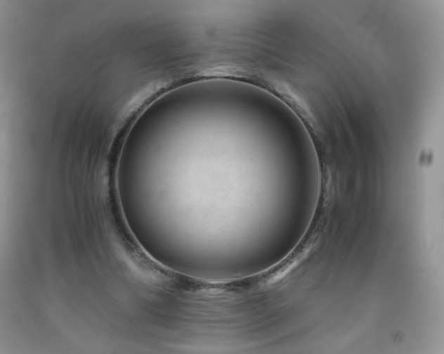 X0000092290298200709141305