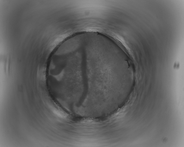 X0000092290299200709141305