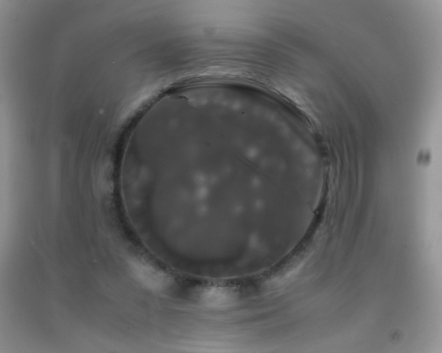 X0000092290303200709141305