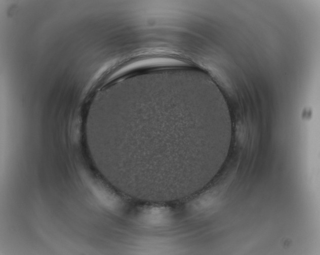 X0000092290304200709141305