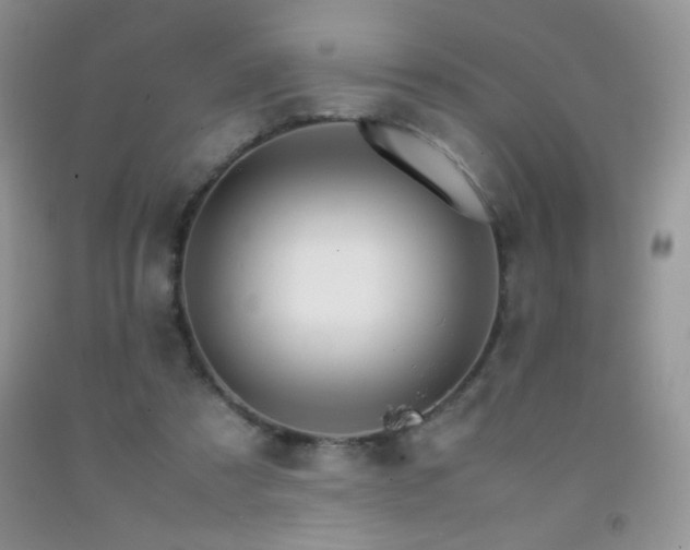 X0000092290305200709141305